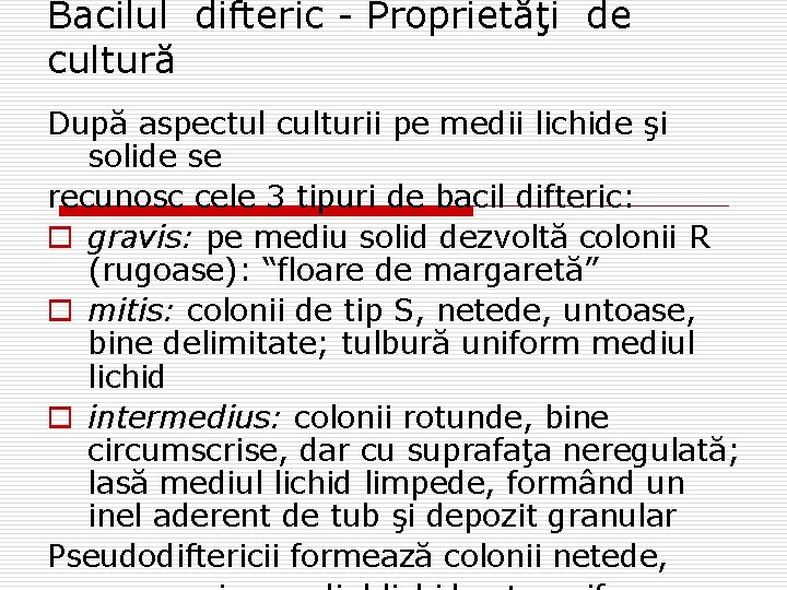 Bacilul difteric - Proprietăţi de cultură După aspectul culturii pe medii lichide şi solide