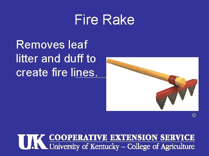 Fire Rake Removes leaf litter and duff to create fire lines. © 