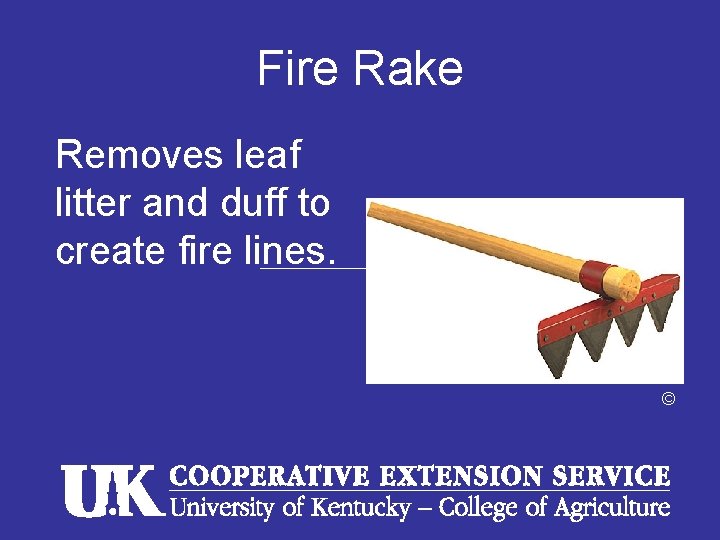 Fire Rake Removes leaf litter and duff to create fire lines. © Fire Rake Removes leaf litter and duff to create fire lines. ©