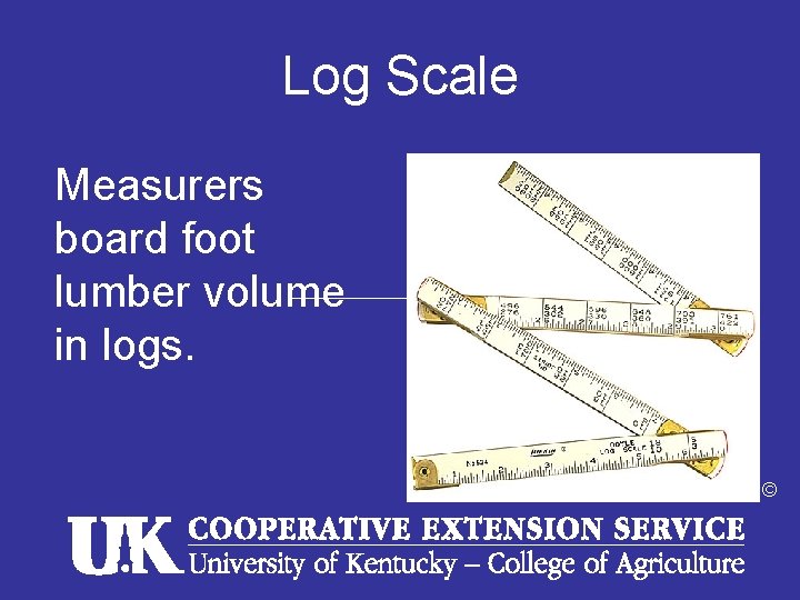 Log Scale Measurers board foot lumber volume in logs. © 