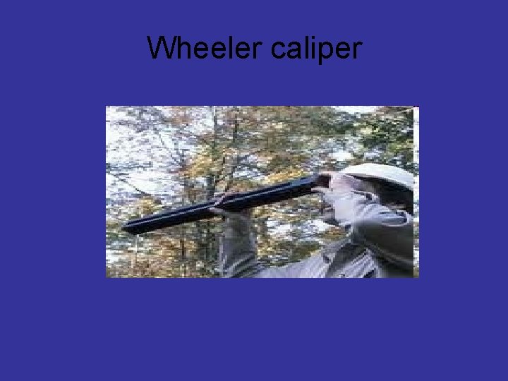 Wheeler caliper 