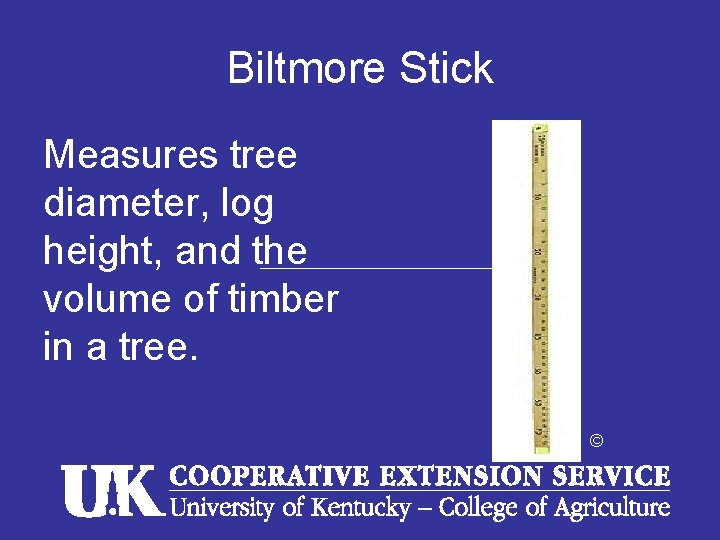 Biltmore Stick Measures tree diameter, log height, and the volume of timber in a Biltmore Stick Measures tree diameter, log height, and the volume of timber in a