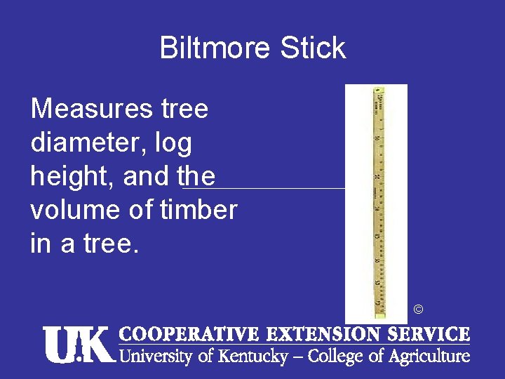 Biltmore Stick Measures tree diameter, log height, and the volume of timber in a