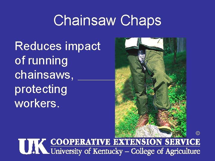 Chainsaw Chaps Reduces impact of running chainsaws, protecting workers. © 