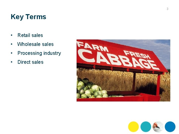 3 Key Terms • Retail sales • Wholesales • Processing industry • Direct sales