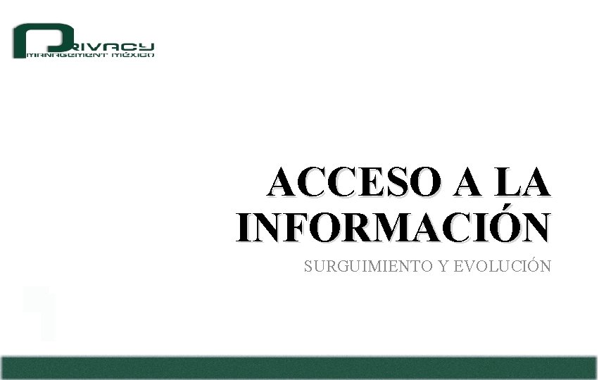 ACCESO A LA INFORMACIÓN SURGUIMIENTO Y EVOLUCIÓN 