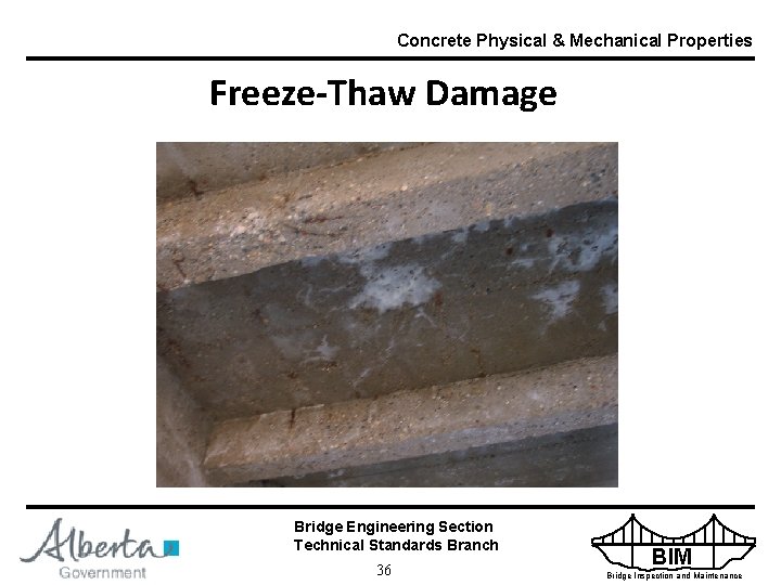 Concrete Physical & Mechanical Properties Freeze-Thaw Damage Bridge Engineering Section Technical Standards Branch 36