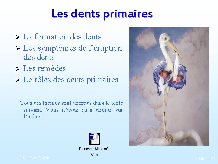 Les dents primaires Ø Ø La formation des dents Les symptômes de l’éruption des