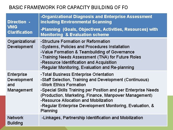 BASIC FRAMEWORK FOR CAPACITY BUILDING OF FO Direction VMG Clarification -Organizational Diagnosis and Enterprise