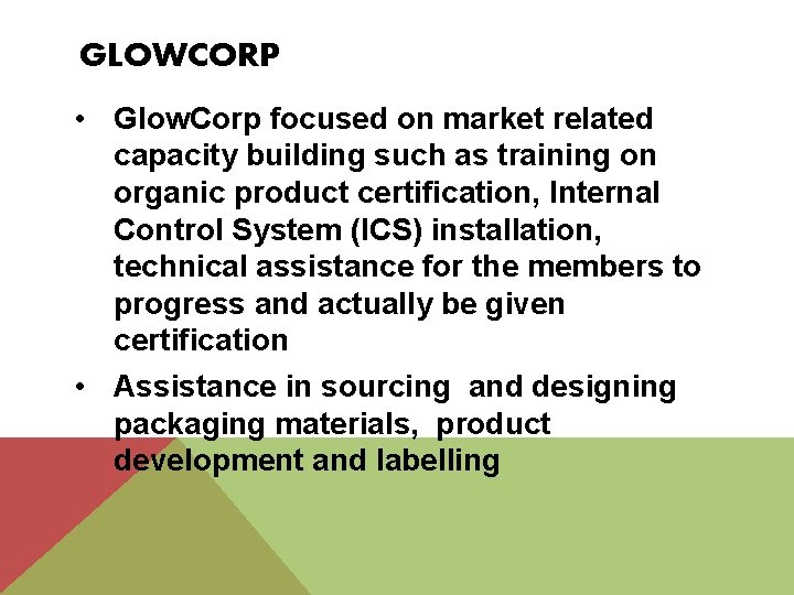GLOWCORP • Glow. Corp focused on market related capacity building such as training on
