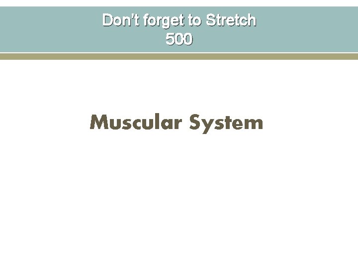 Don’t forget to Stretch 500 Muscular System 