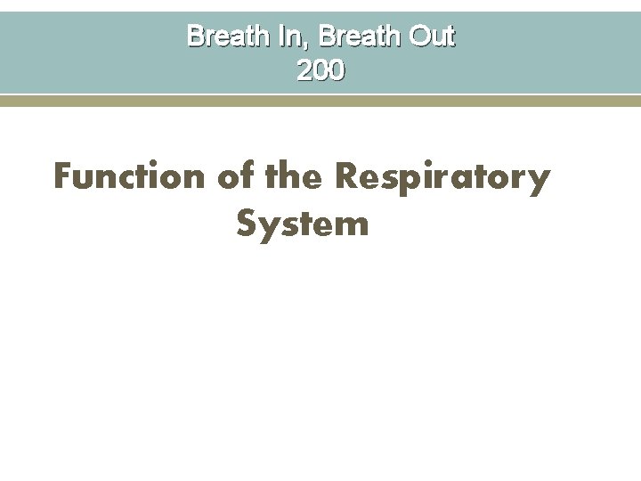 Breath In, Breath Out 200 Function of the Respiratory System 