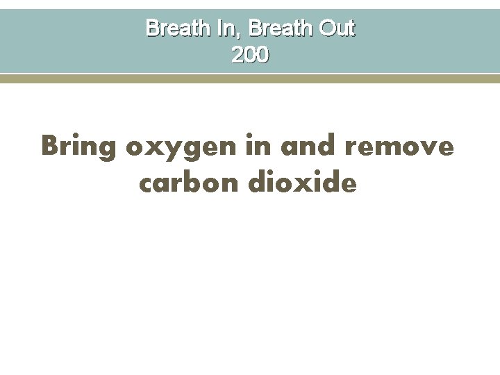 Breath In, Breath Out 200 Bring oxygen in and remove carbon dioxide 