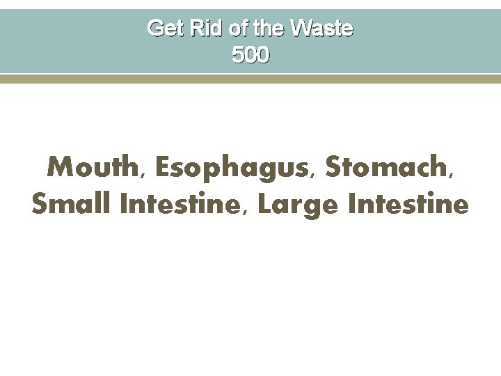 Get Rid of the Waste 500 Mouth, Esophagus, Stomach, Small Intestine, Large Intestine 