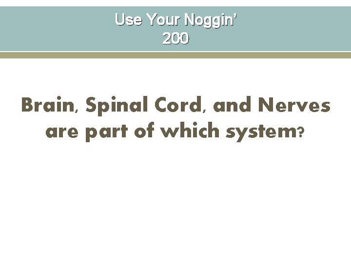 Use Your Noggin’ 200 Brain, Spinal Cord, and Nerves are part of which system?