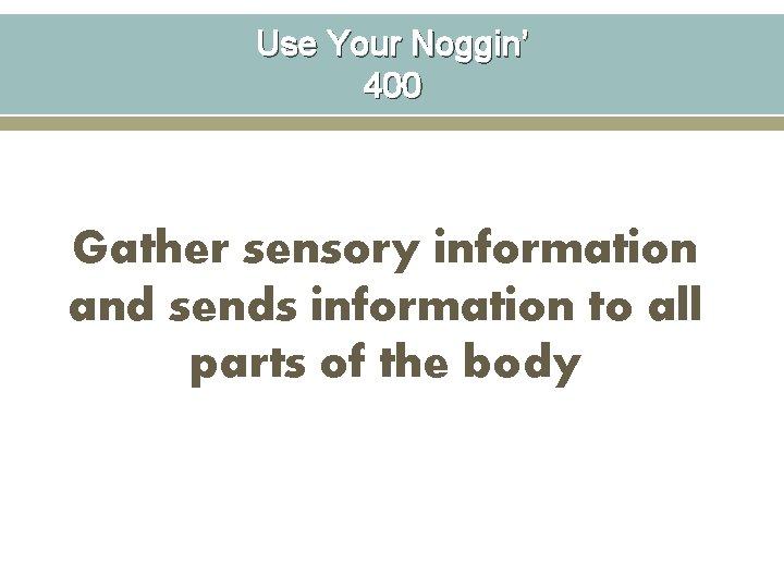 Use Your Noggin’ 400 Gather sensory information and sends information to all parts of