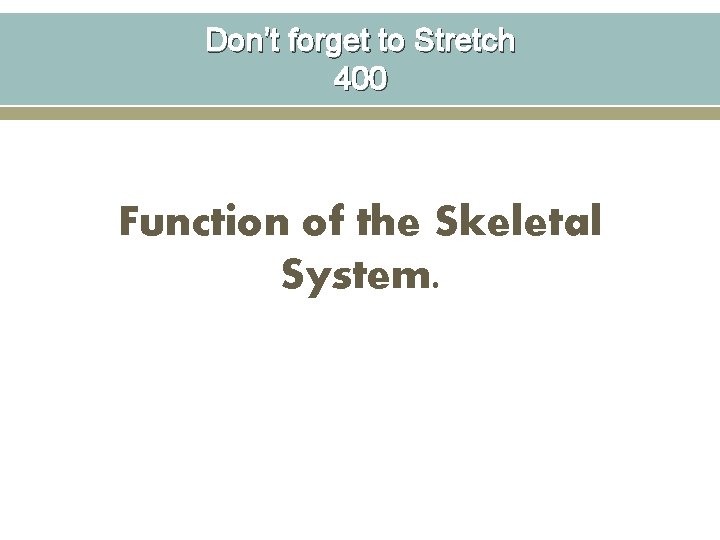 Don’t forget to Stretch 400 Function of the Skeletal System. 