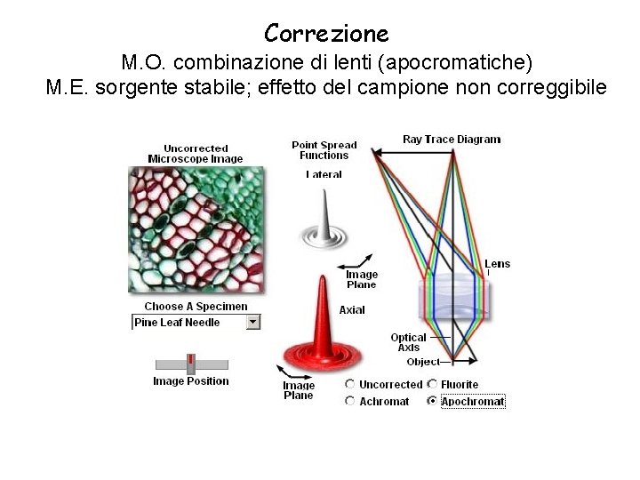 Correzione M. O. combinazione di lenti (apocromatiche) M. E. sorgente stabile; effetto del campione