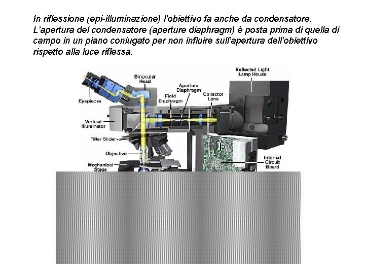 In riflessione (epi-illuminazione) l’obiettivo fa anche da condensatore. L’apertura del condensatore (aperture diaphragm) è