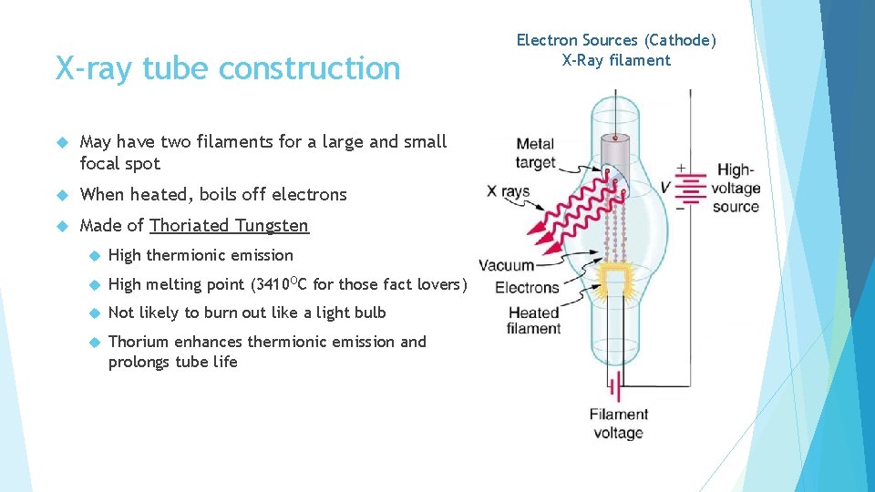 X-ray tube construction May have two filaments for a large and small focal spot