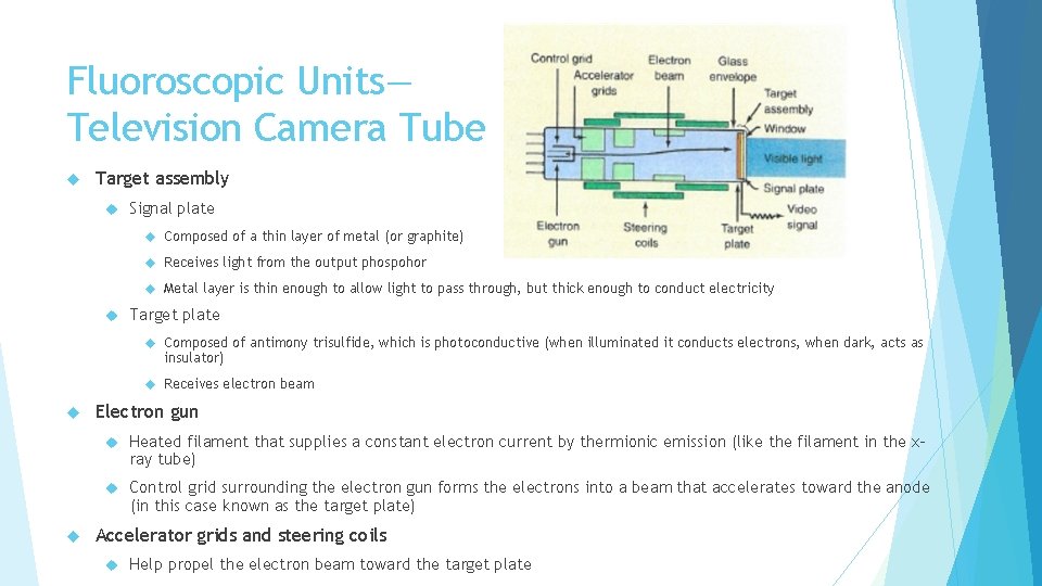 Fluoroscopic Units— Television Camera Tube Target assembly Signal plate Composed of a thin layer
