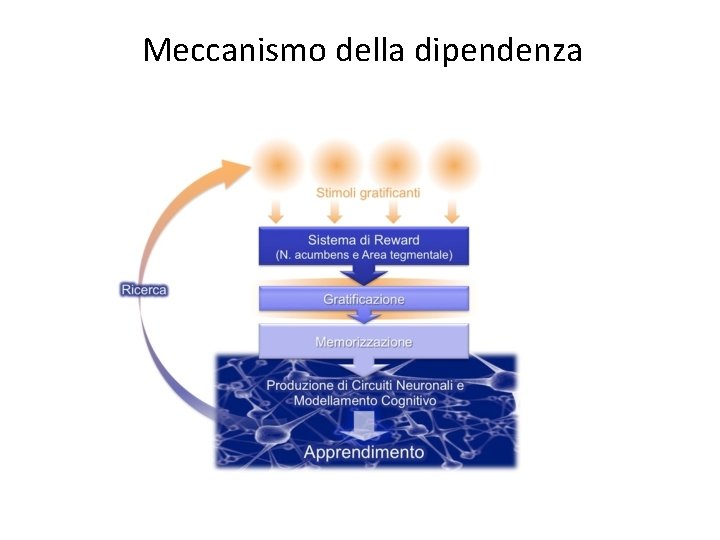 Meccanismo della dipendenza 