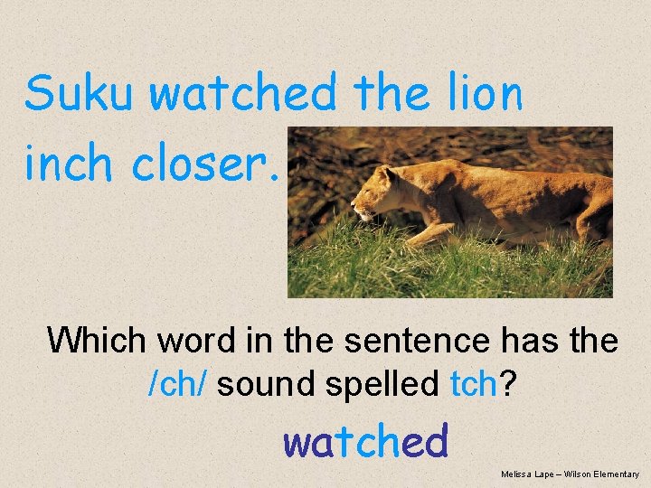 Suku watched the lion inch closer. Which word in the sentence has the /ch/