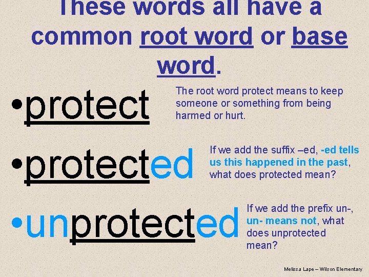 These words all have a common root word or base word. • protected •