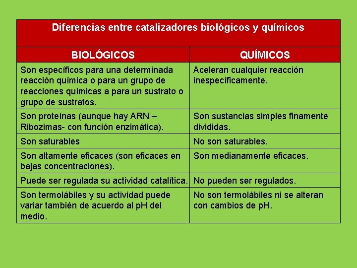 Diferencias entre catalizadores biológicos y químicos BIOLÓGICOS QUÍMICOS Son específicos para una determinada reacción