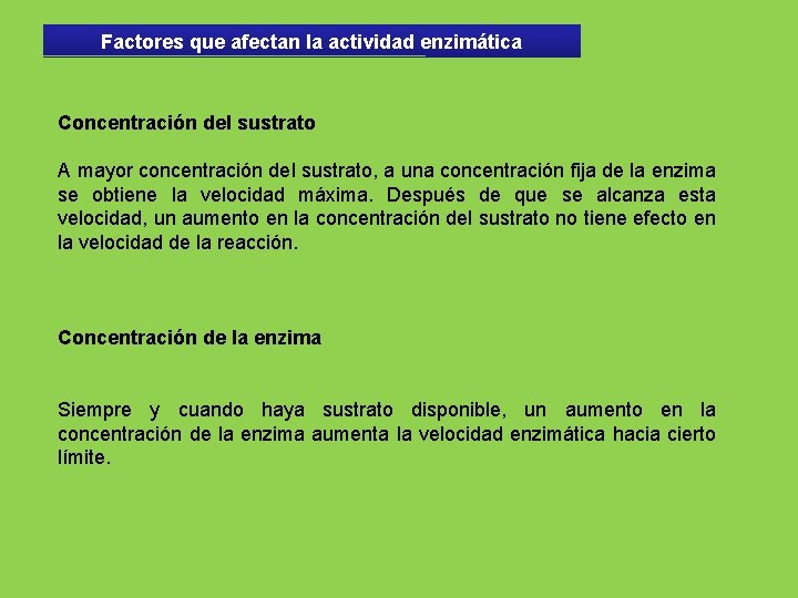 Factores que afectan la actividad enzimática Concentración del sustrato A mayor concentración del sustrato,