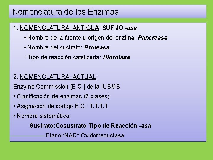 Nomenclatura de los Enzimas 1. NOMENCLATURA ANTIGUA: SUFIJO -asa • Nombre de la fuente