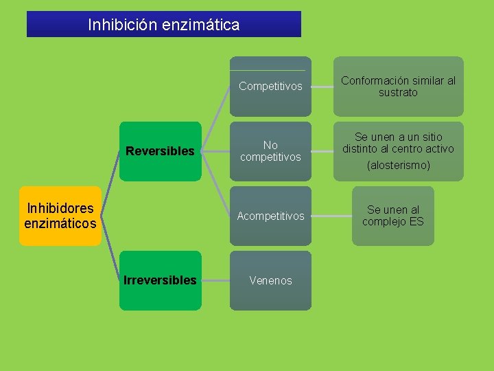 Inhibición enzimática Competitivos Reversibles Inhibidores enzimáticos No competitivos Acompetitivos Irreversibles Venenos Conformación similar al