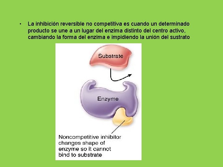  • La inhibición reversible no competitiva es cuando un determinado producto se une