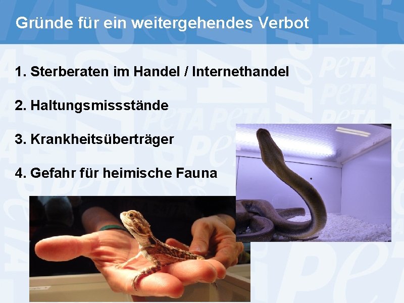 Gründe für ein weitergehendes Verbot 1. Sterberaten im Handel / Internethandel 2. Haltungsmissstände 3.