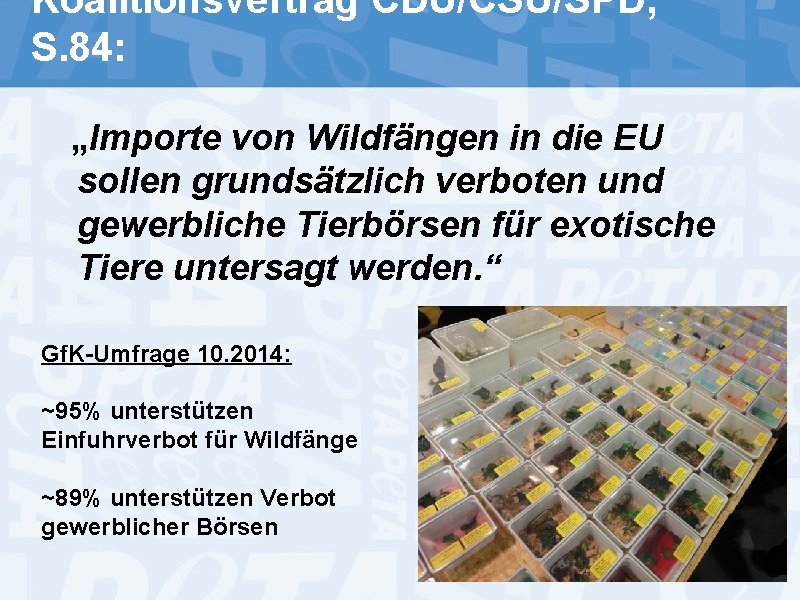 Koalitionsvertrag CDU/CSU/SPD, S. 84: „Importe von Wildfängen in die EU sollen grundsätzlich verboten und