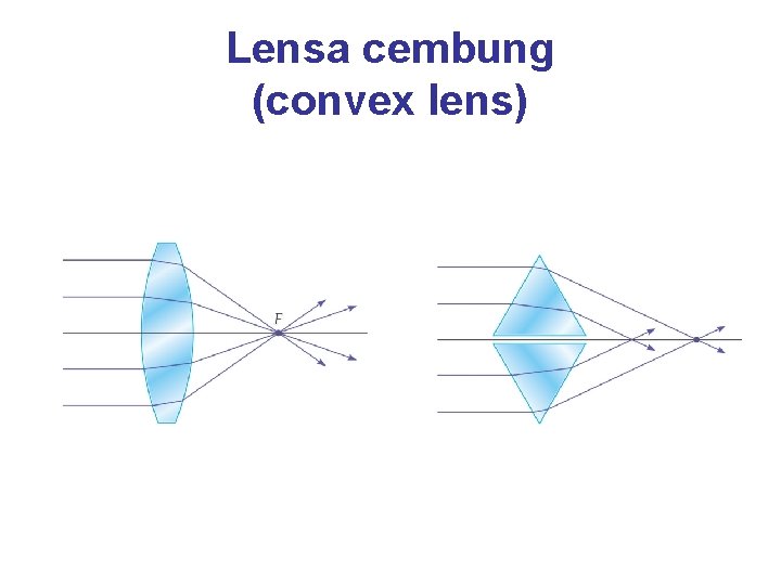 Lensa cembung (convex lens) 