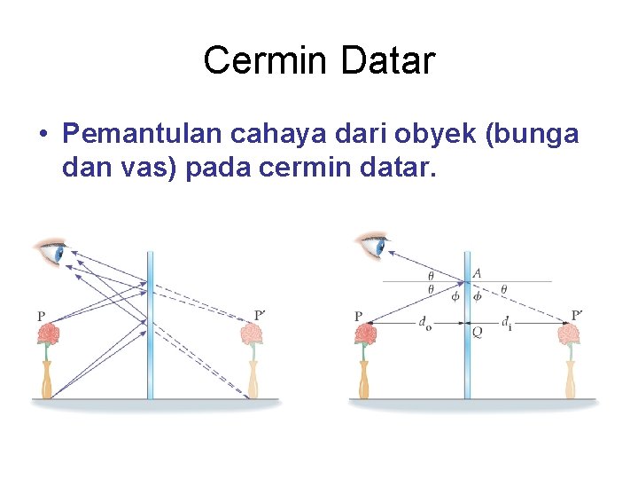 Cermin Datar • Pemantulan cahaya dari obyek (bunga dan vas) pada cermin datar. 