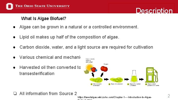 Description What Is Algae Biofuel? ● Algae can be grown in a natural or