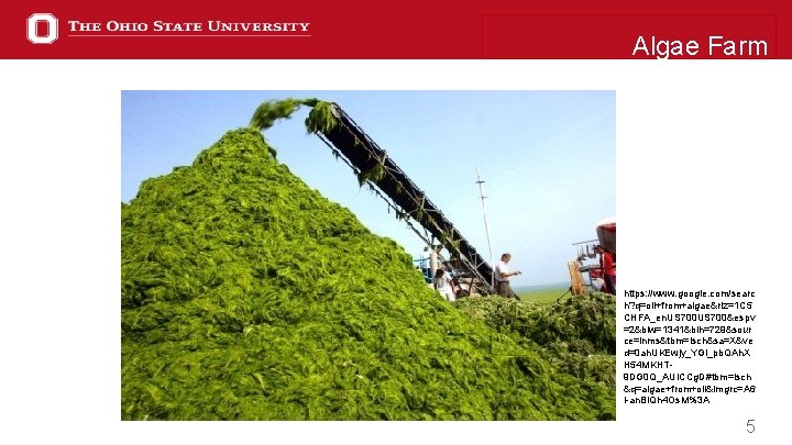 Algae Farm https: //www. google. com/searc h? q=oil+from+algae&rlz=1 C 5 CHFA_en. US 700&espv =2&biw=1341&bih=729&sour