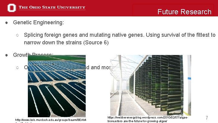 Future Research ● Genetic Engineering: ○ Splicing foreign genes and mutating native genes. Using