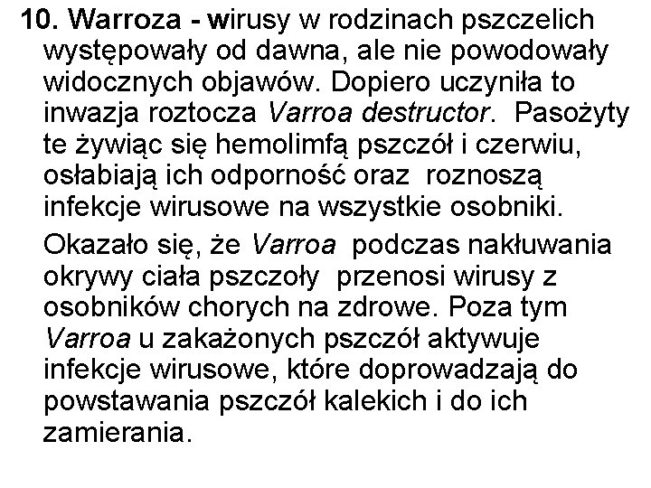 10. Warroza - wirusy w rodzinach pszczelich występowały od dawna, ale nie powodowały widocznych