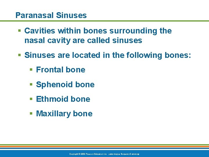 Paranasal Sinuses § Cavities within bones surrounding the nasal cavity are called sinuses §