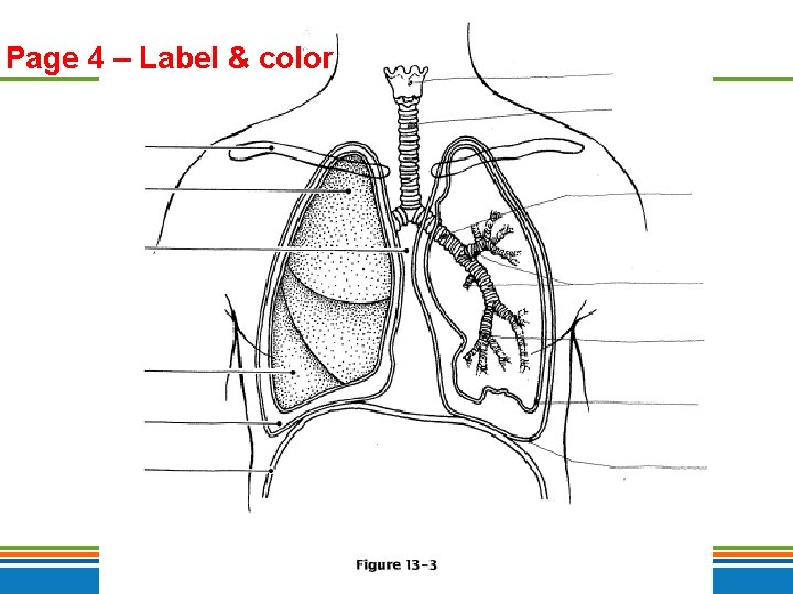 Page 4 – Label & color Copyright © 2009 Pearson Education, Inc. , publishing