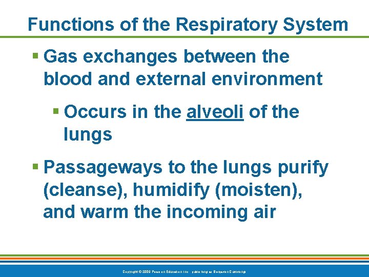 Functions of the Respiratory System § Gas exchanges between the blood and external environment