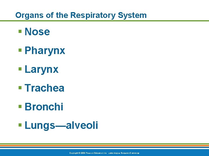 Organs of the Respiratory System § Nose § Pharynx § Larynx § Trachea §