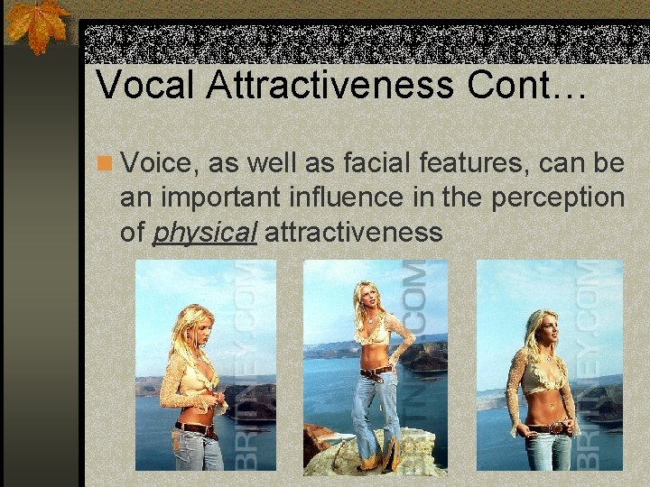 Vocal Attractiveness Cont… n Voice, as well as facial features, can be an important