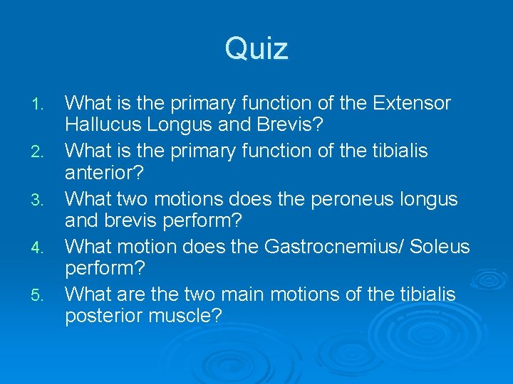 Quiz 1. 2. 3. 4. 5. What is the primary function of the Extensor