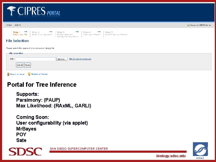 Portal for Tree Inference Supports: Parsimony: (PAUP) Max Likelihood: (RAx. ML, GARLI) Coming Soon: