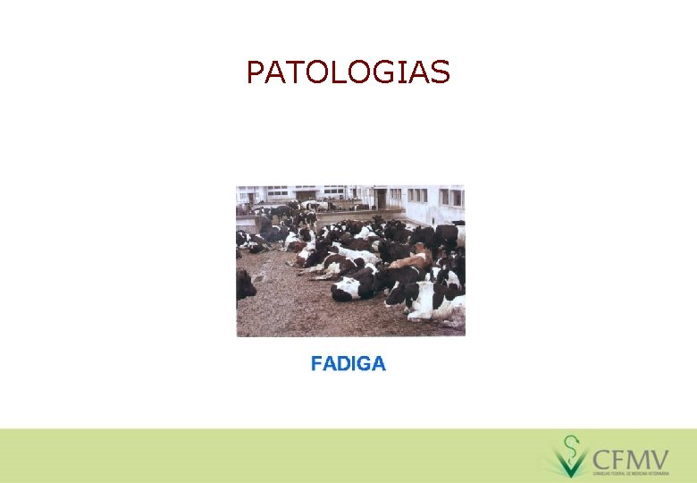 PATOLOGIAS 