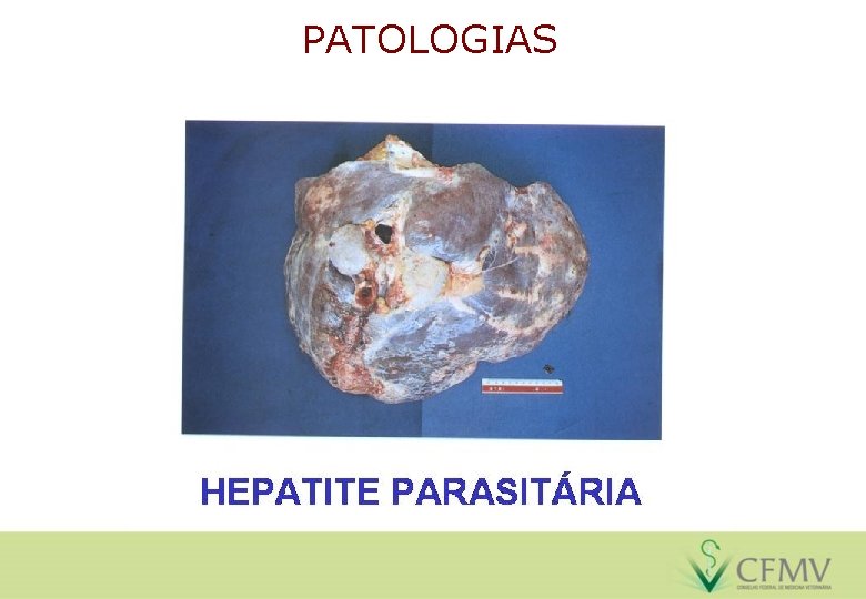 PATOLOGIAS 